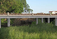 bridge over tall grass