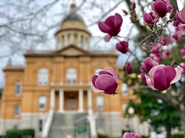 Auburn courthouse in spring