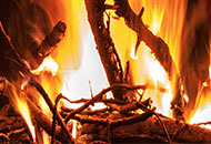 Photo of wood burning in a fire. 
