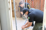 Animal control officers construct a wire fenced cage on a home's backyard patio