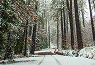 Snowy road during a storm