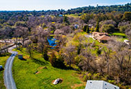 brush next to an open field