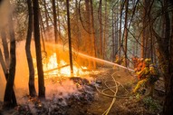 firefighter holding a fire hose spewing water on a flaming tree