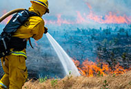 Firefighter spraying grass fire with fire hose. 