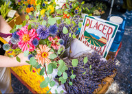Placer Grown sign