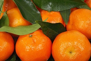 mandarins