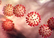 Virus cell image. 