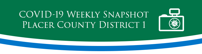 COVID-19 Snapshot Heading