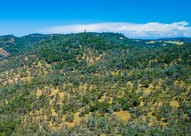 Vast land with multiple green trees and a blue sky