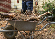 Wildlife prevention image of a bunch of dry branches 