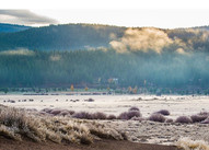 foggy with hills, and trees