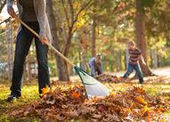 A person racking fall colored leaves