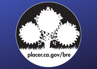 Black and white image of a tree design with blue borders