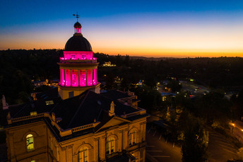 Auburn-Courthouse_Pink