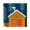 internet service survey