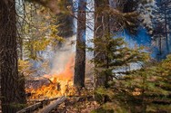 Wildfire preparedness