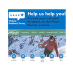 website feedback survey