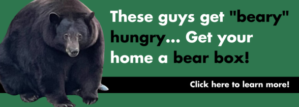 Bear box program