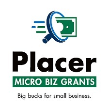 microbiz