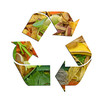 organic waste