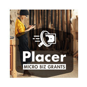 micro biz grants