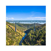 western d5 virtual town hall