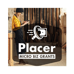 micro biz grants