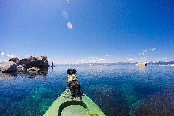 dog on a kayak on Lake Tahoe