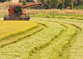 tractor working a field