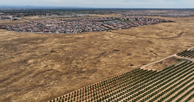 Crops and Cul De Sacs