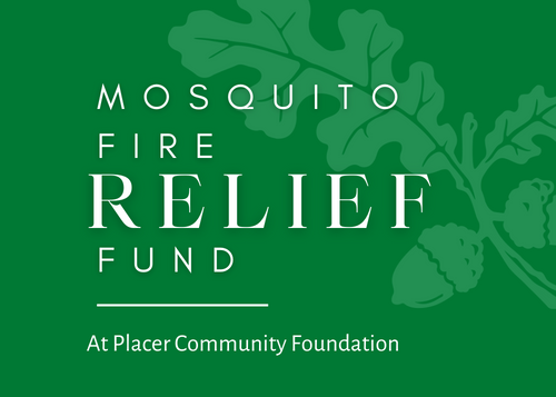 mosquito fire relief fun at placer community foundation