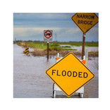 flood insurance