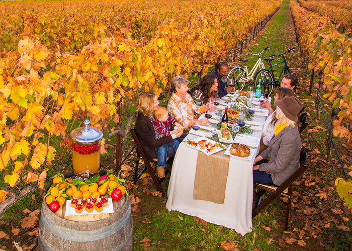 Group of people sitting at a dinner table in the middle of a vineyard