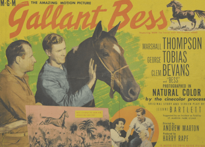 War Horse movie poster