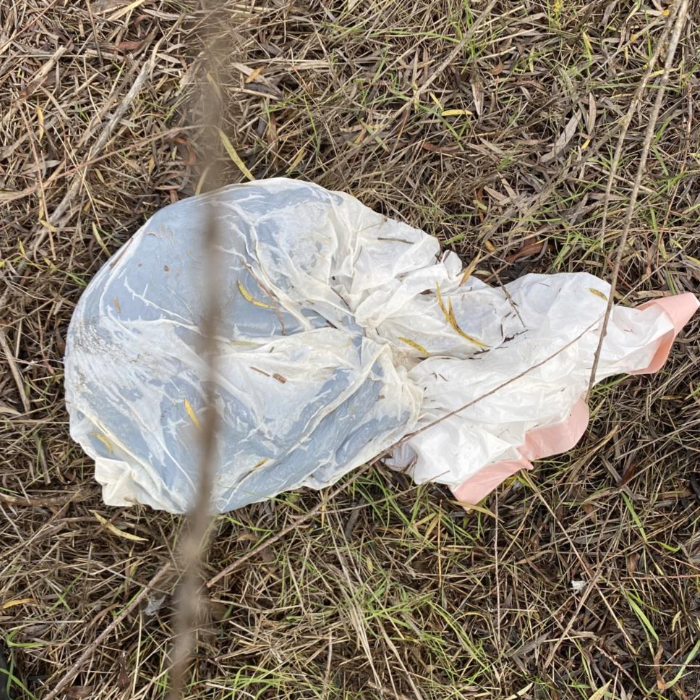 white plastic bag containing the remains of an animal
