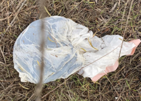 white plastic bag in a field