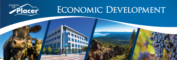 Economic Development Newsletter Header