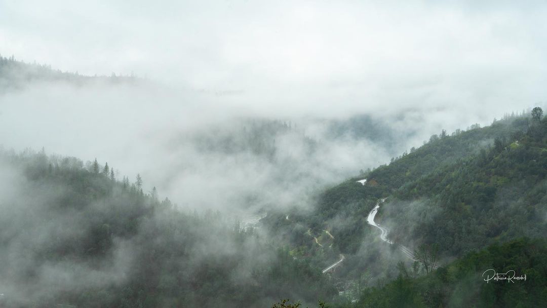 A foggy, verdant river canyon on a gray morning