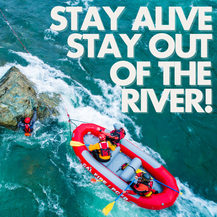 Rescue crews save stranded swimmer