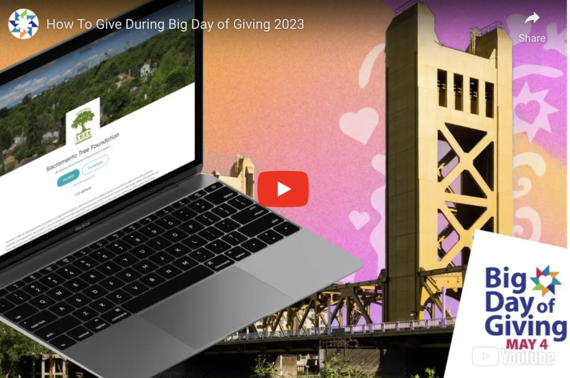 big day of giving | video