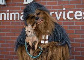 Star War's Chewbacca holds a puppy outside of Animal Services
