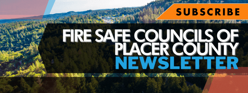 Fire safe council newsletter