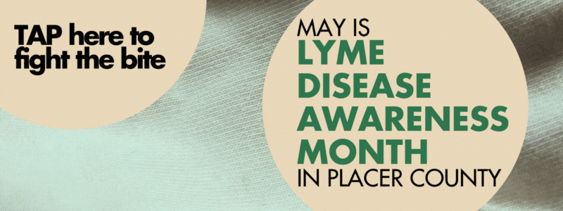 Lyme disease awareness