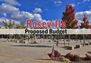 Roseville Budget
