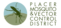 Mosquito Vector Logo