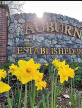 City of auburn photo