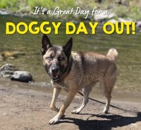 doggydayout
