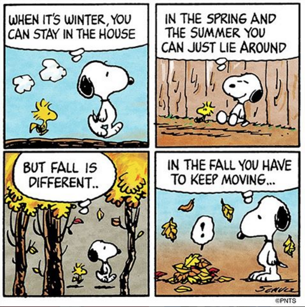 Peanuts Fall