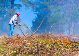 Placer County resident burns excess brush and vegetation