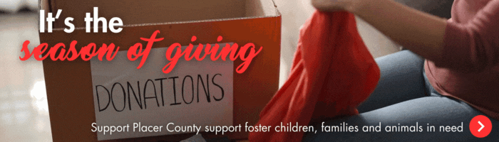 It's the season of giving. Help Placer County support foster children, families and animals in need